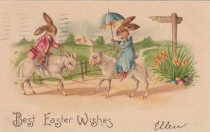 LP30    Easter, rabbit, lambs,  dressed animal fantasy, 