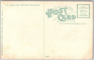 State Masonic Temple Waco Texas TX Cross Streets Building View Postcard