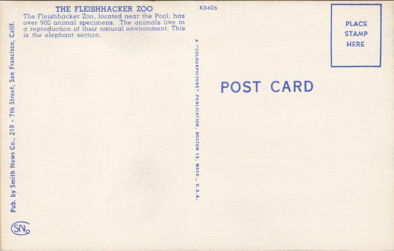 Fleishhacker's Zoo Golden Gate Park San Francisco CA Unused Linen Postcard F7