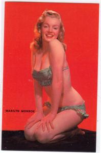 Marilyn Monroe in a Swim Suit