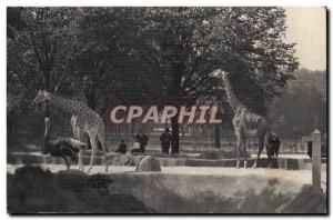 Paris - 12 - Zoological Paris - Bois de Vincennes - National d & # Natural 39...