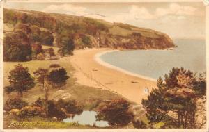 BR100017 frith  blackpool sands s devon  uk