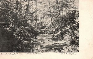 Vintage Postcard 1907 Scene On The Barber Brook Newark Valley New York G.E. Pub.