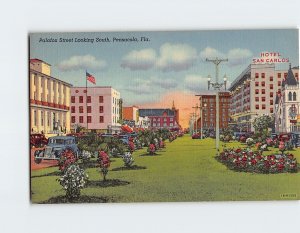 Postcard Palafox Street, Looking South, Pensacola, Florida