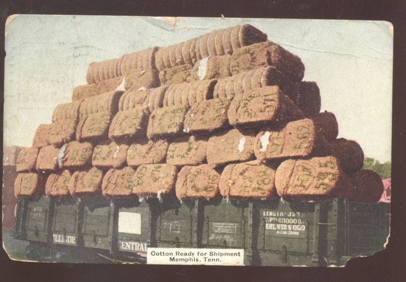 MEMPHIS TENNESSEE COTTON READY FOR SHIPMENT RAILROAD TRAIN POSTCARD