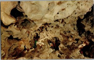 Bone Yard, Carlsbad Caverns National Park NM Vintage Postcard G30