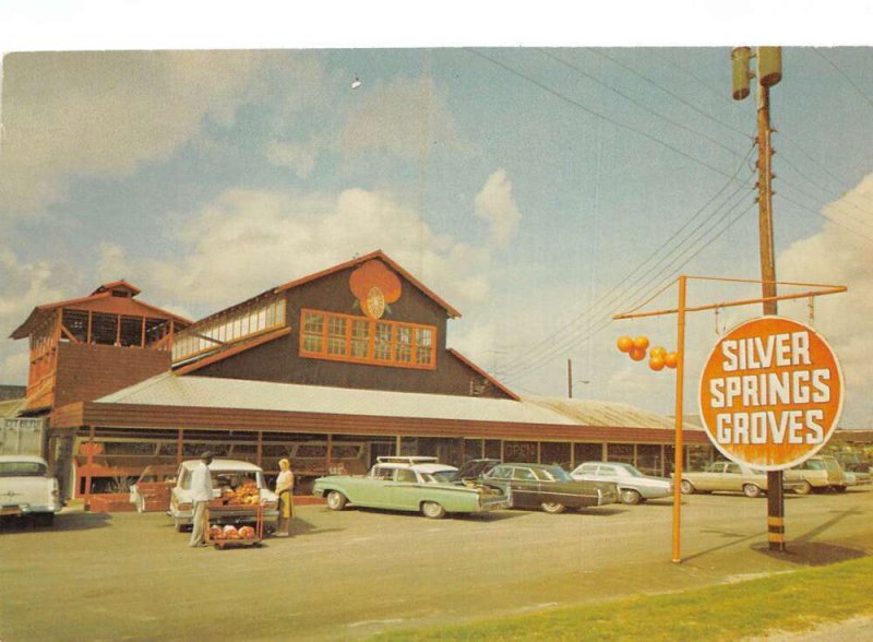 Citra  Florida Silver Springs Grove Chrome Vintage Postcard U6768 ID: 298447