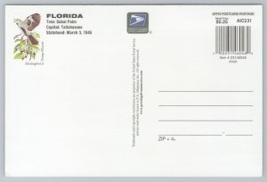 Advertising~Florida 37 Cent Stamp Greeting~Continental Postcard 400231460480