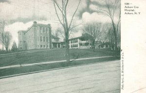 Vintage Postcard Auburn City Hospital Building Auburn New York CS Woolworth Pub.