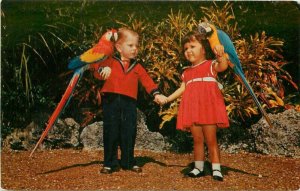 Amusement Children's Parrott Jungle Macaws US Print Postcard Florida 21-2258