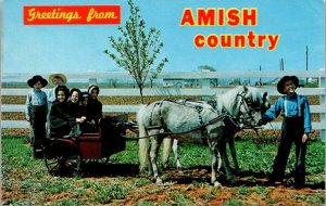 Pennsylvania Greetings From Amish Country Amish Children With Ponies & Cart