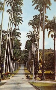 Entrance to Codrington College St. John Barbados West Indies Unused 