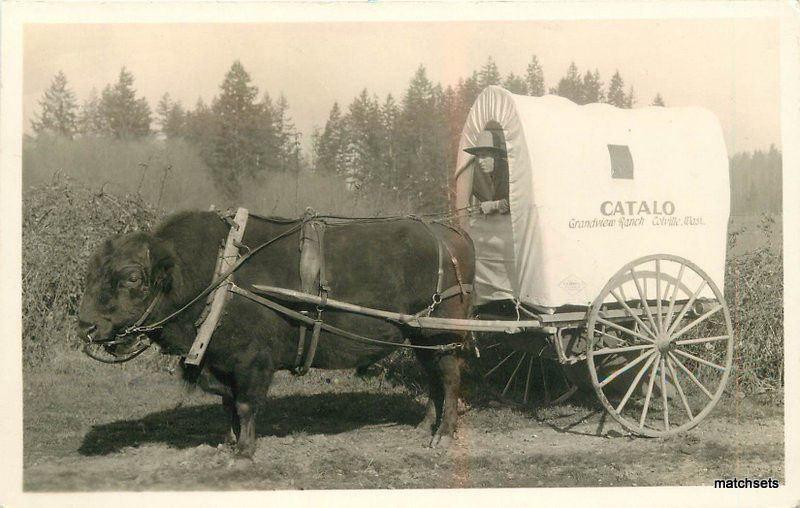 1940s Catalo Grandview Ranch Colville Washington RPPC real photo postcard 9068