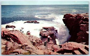 M-95228 Thunder Hole Acadia National Park Mt Desert Island Maine USA