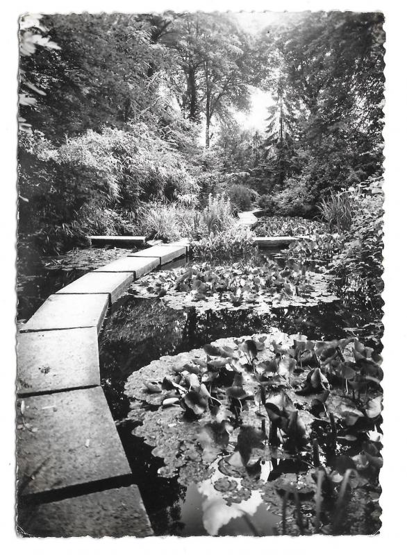 France Sevres Japanese Garden Language School CIEP Glossy Photo Postcard 4X6