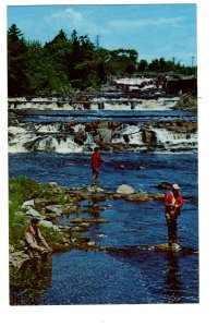 Beautiful Eastern Shore, Nova Scotia, Fishing in River