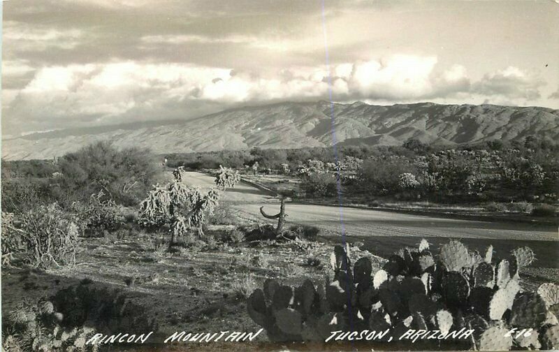 Cook 1940s Rincon Mountain Tucson Arizona RPPC Photo Postcard 6773 