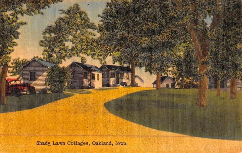 Oakland Iowa Shady Lawn Cottages Street View Antique Postcard K47027