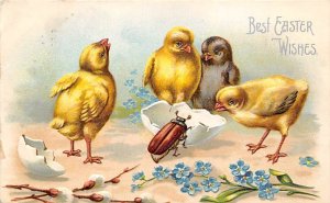 Best Easter Wishes Artist Ellen Clapsaddle Bug 1909 