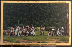 Mint USA PPC Picture Postcard Native American Cherokee Indian Full Costume Dance