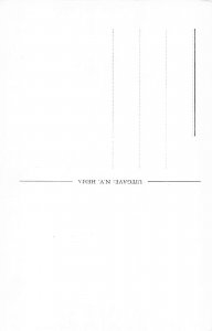 A206 Netherlands Arnhem Sabelspprt Gate vintage postcard