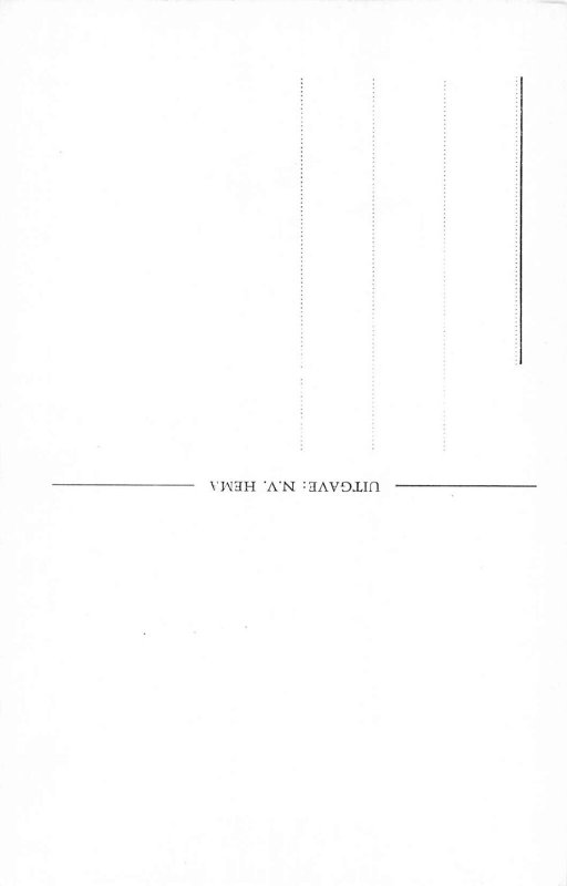 A206 Netherlands Arnhem Sabelspprt Gate vintage postcard