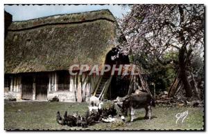 Gaby - Normandy - La Douce Fraternite - ass - donkey - Old Postcard