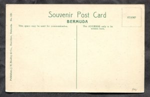 dc878 - FLATTS VILLAGE Bermuda c1905-10 Frascatti Hotel & Bridge Postcard