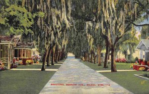 Benachi Avenue Biloxi Mississippi linen postcard