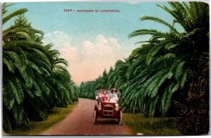 Motoring Between the Palms, California Vintage Postcard Y05