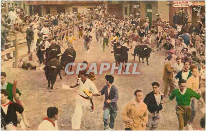 Postcard Modern Pamplona Corriendo Mozos Toros y por la Calle Tauteaux