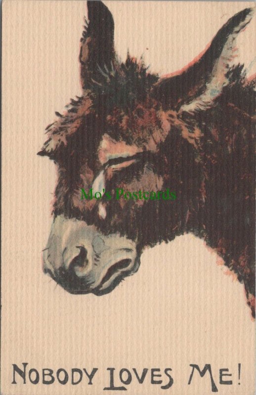 Animals Postcard - Crying Donkey - Nobody Loves Me RS36990