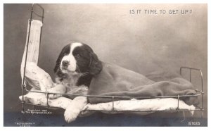 Dog in bed , is It time to get up?