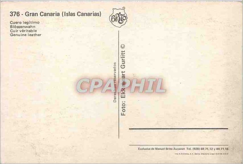 Modern Postcard Gran Canaria (Islas Canarias) Leather Veritable