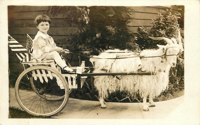 RPPC Little Boy in Angora Goat Cart With American Flags (Ralph)