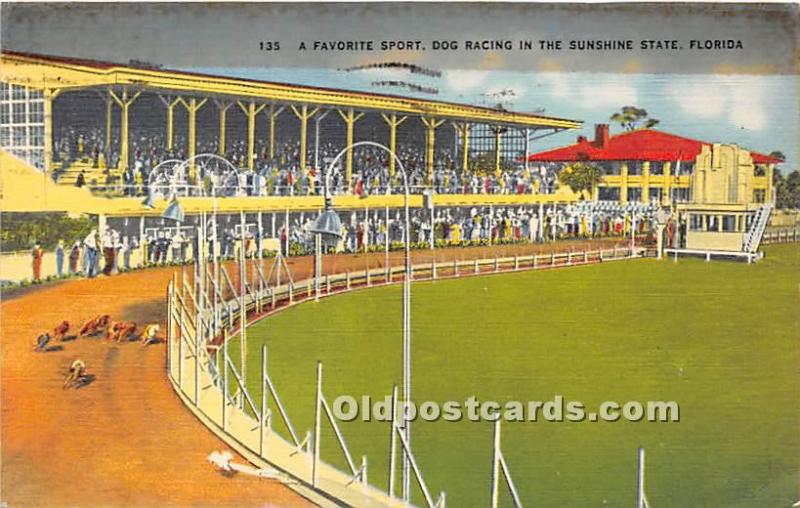 A Favorite Sport, Dog Racing Florida, FL, USA Dog Racing 1940 tape along top ...