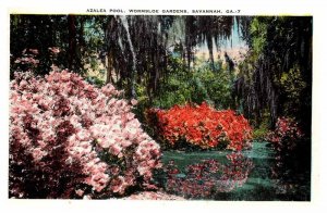 Postcard NATURE SCENE Savannah Georgia GA AQ7368