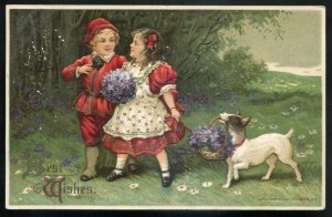 dc1996 - BEST WISHES Postcard 1911 Embossed Boy Girl Dog & Flowers by Feinberg