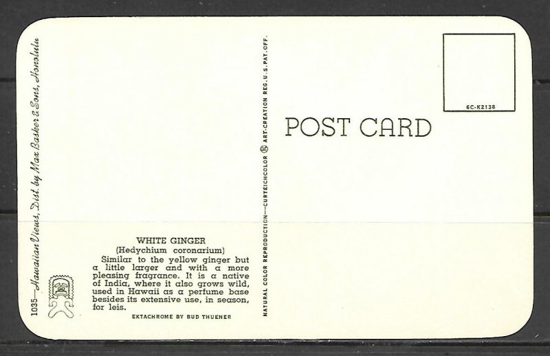 Hawaii - White Ginger - [HI-061]