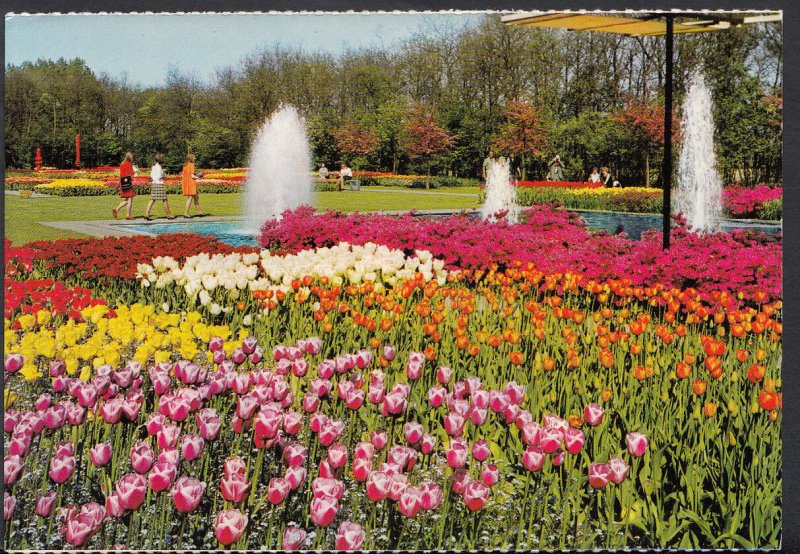 Netherlands Postcard - Holland in Flower Decoration  B1276