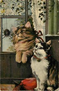 Vintage Art Postcard; Cats watch Spider in the Window, A/s A Jiras, Serie 1710