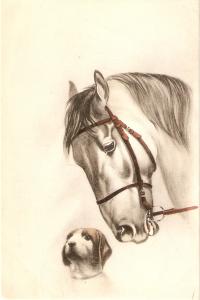 Beautiful horse  and dog Nice anique English postcard