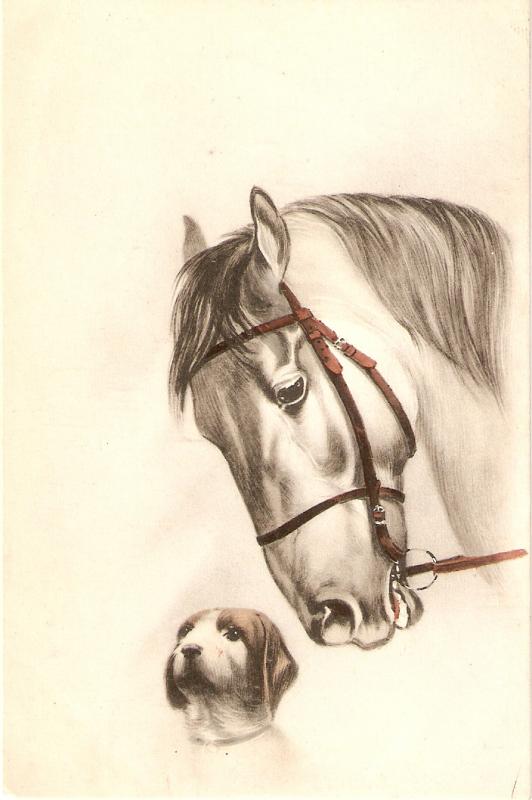 Beautiful horse  and dog Nice anique English postcard