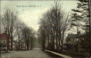 Walton NY North St. c1910 Postcard