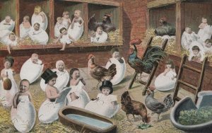 Multi Babies Born In German Farm Barn Hen Antique Comic Postcard