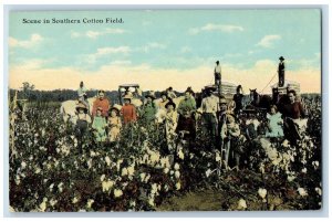 c1910's Scene In Southern Cotton Field Farmers And Horses Antique Postcard 