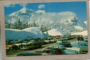  Postcard WA Snoqualmie Summit Sky Area Snow Scene Mountains c1950s Cars 2054N