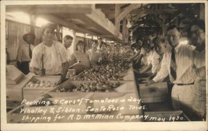 Santa Rosa TX Packing Tomatoes Labor Work AD McMinn Co Real Photo Postcard