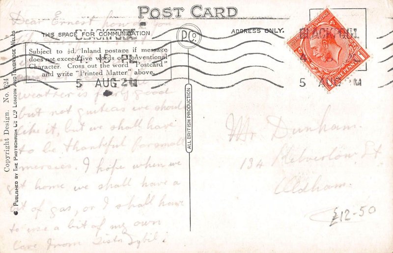 L519 Anthropomorphic Cat comic by Violet Roberts vintage postcard