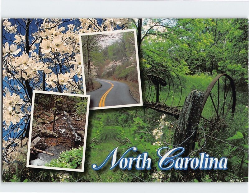 Postcard Beautiful Nostalgic Scenes North Carolina USA